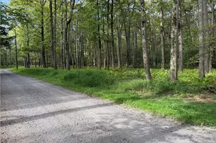 Lots 211 & 212 Alpine Rd, Jenner Township, PA 15546 - Photo 1