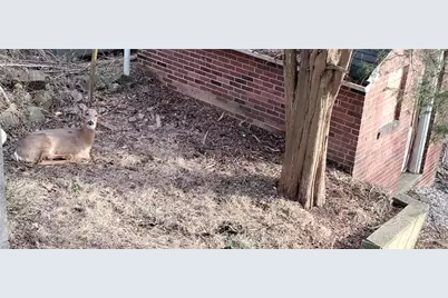 6206 Ira Way, Pittsburgh, PA 15217 - Photo 35