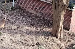 6206 Ira Way, Pittsburgh, PA 15217 - Photo 35