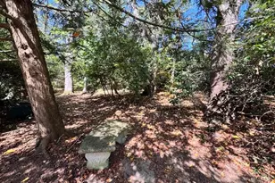 1535 Redfern Dr, Pittsburgh, PA 15241 - Photo 49