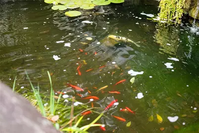 2779 Clearview Rd, Hampton, PA 15101 - Photo 47