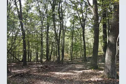 00 Harrold St (Parcel B), Hempfield Township, PA 15644 - Photo 9