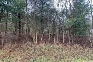 Lot 5 Ringertown Rd, Murrysville, PA 15632 - Photo 1