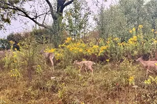 573 Chesnic Dr, North Strabane, PA 15317 - Photo 47