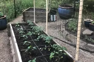 700 W Waldheim Rd, Pittsburgh, PA 15215 - Photo 49