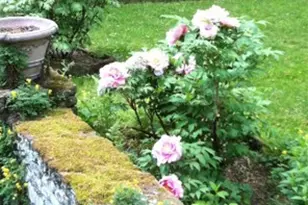 700 W Waldheim Rd, Pittsburgh, PA 15215 - Photo 47