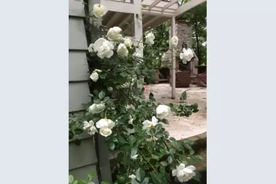 700 W Waldheim Road, Pittsburgh, PA 15215 - Photo 45