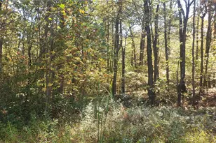 113 Ross Rd, Ligonier Township, PA 15658 - Photo 27