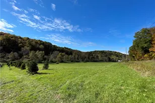 Lot 1 Shag Bark Grove / Mamont Rd, Murrysville, PA 15668 - Photo 5