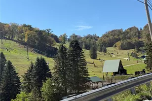 1 Sunridge Dr, Seven Springs, PA 15622 - Photo 49