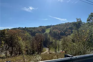 1 Sunridge Dr, Seven Springs, PA 15622 - Photo 47