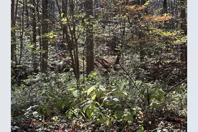 Lot 1 Neals Run Road, Saltlick Township, PA 15622 - Photo 9