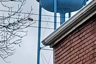 105 19th St, Pittsburgh, PA 15215 - Photo 23