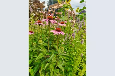 113 E Leasure Avenue, New Castle, PA 16101 - Photo 37