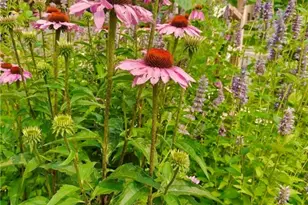 113 E Leasure Ave, New Castle, PA 16101 - Photo 37