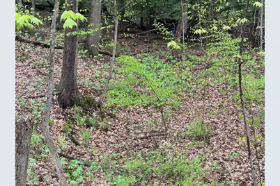 0 Wagon Wheel Ct Lot #57, Pulaski Township, PA 16143 - Photo 9