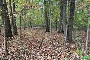 0 Wagon Wheel Ct Lot 57, Pulaski Township, PA 16143 - Photo 1
