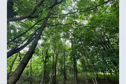 0 Holly Alley, Brownsville, PA 15475 - Photo 13