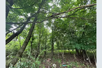 0 Holly Alley, Brownsville, PA 15475 - Photo 3