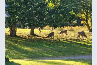 1091 Route 36, Other, PA 16353 - Photo 47