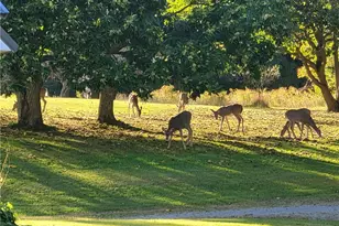 1091 Route 36, Other, PA 16353 - Photo 47