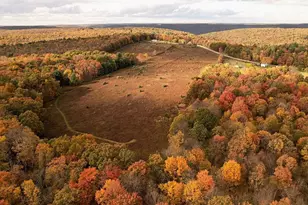 1091 Route 36, Other, PA 16353 - Photo 45