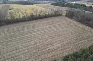 121 Powell Rd, Penn Township, PA 16002 - Photo 47