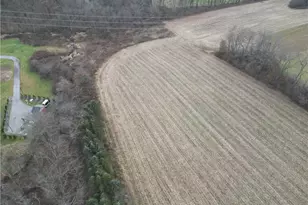 121 Powell Rd, Penn Township, PA 16002 - Photo 49