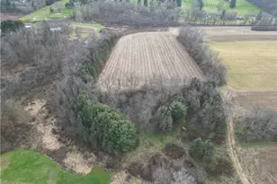 121 Powell Rd, Penn Township, PA 16002 - Photo 33