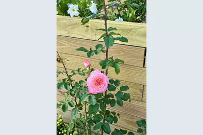 311 Elm St, Vandergrift, PA 15690 - Photo 45