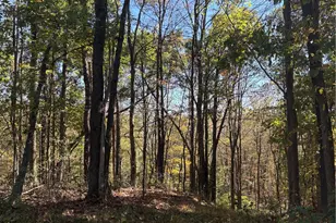 103 Wash Run Rd, Saltlick Township, PA 15446 - Photo 13