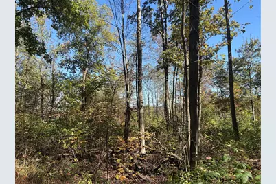 103 Wash Run Rd, Saltlick Township, PA 15446 - Photo 33