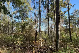 103 Wash Run Rd, Saltlick Township, PA 15446 - Photo 33