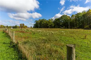 409 Bower Rd, Fredonia, PA 16124 - Photo 45