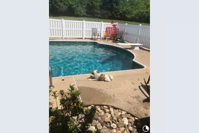 104 Pagano Dr, Hempfield Township, PA 15672 - Photo 47