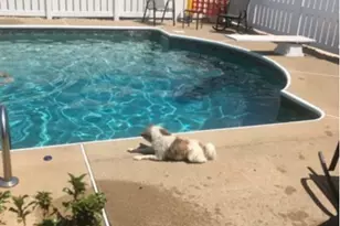 104 Pagano Dr, Hempfield Township, PA 15672 - Photo 47