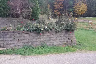 252 Moore Rd, Punxsutawney Area School District, PA 15767 - Photo 5