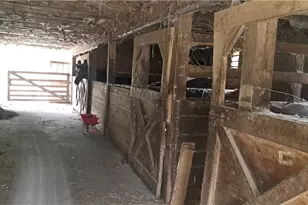 252 Moore Rd, Punxsutawney Area School District, PA 15767 - Photo 7