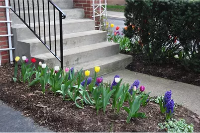 100 Denniston St #40, Pittsburgh, PA 15206 - Photo 5