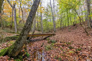 120 Youngstown Ridge Rd, Ligonier Township, PA 15658 - Photo 41