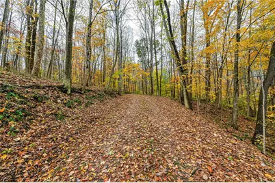 120 Youngstown Ridge Rd, Ligonier Township, PA 15658 - Photo 39