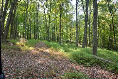 0 Legionville Road, Harmony Township, PA 15003 - Photo 9