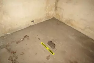 5605 Celadine St, Pittsburgh, PA 15201 - Photo 19