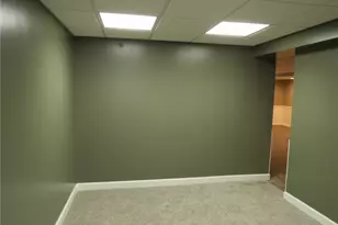 1382 Lucia Dr, Canonsburg, PA 15317 - Photo 43