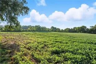 257 Halltown Rd, North Beaver Township, PA 16157 - Photo 9