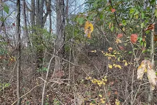 298-A McCombs Rd, Peters Township, PA 15367 - Photo 7