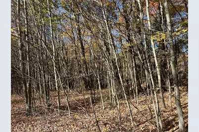 1038 Beatty School Road, Salem Township, PA 16125 - Photo 9