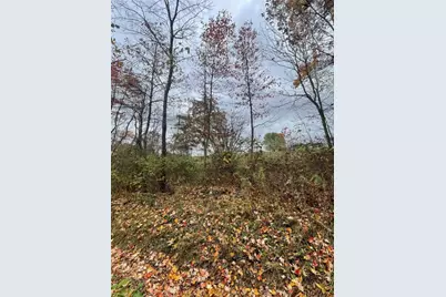 0 Browntown Rd, Mercer Township, PA 16038 - Photo 5