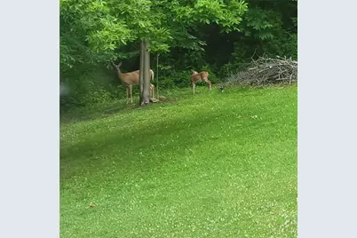 526 E River Rd, Mahoning Township, PA 16116 - Photo 35