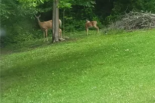 526 E River Rd, Mahoning Township, PA 16116 - Photo 35